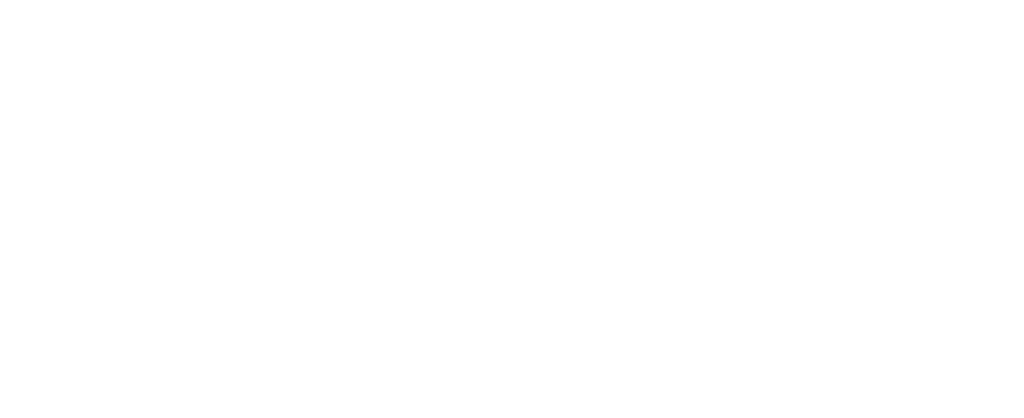 PFD Development
